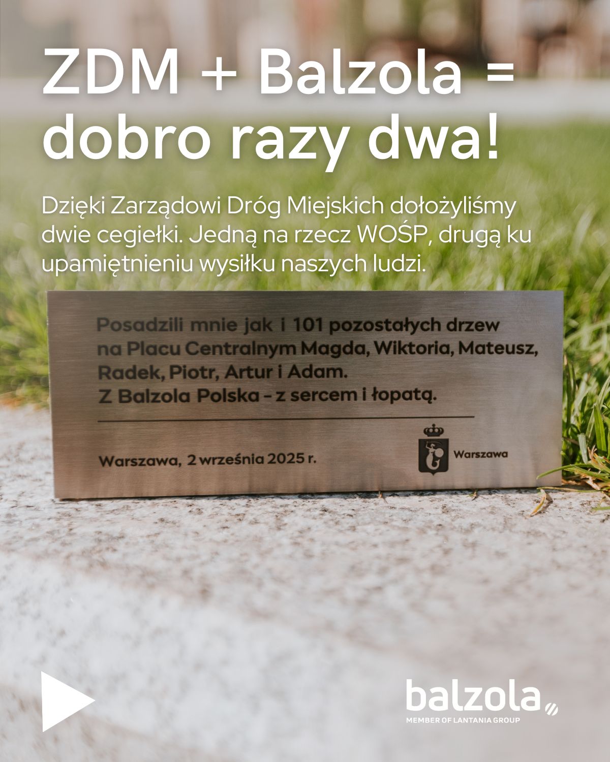 Balzola Pl Centralny Dąb WOŚP