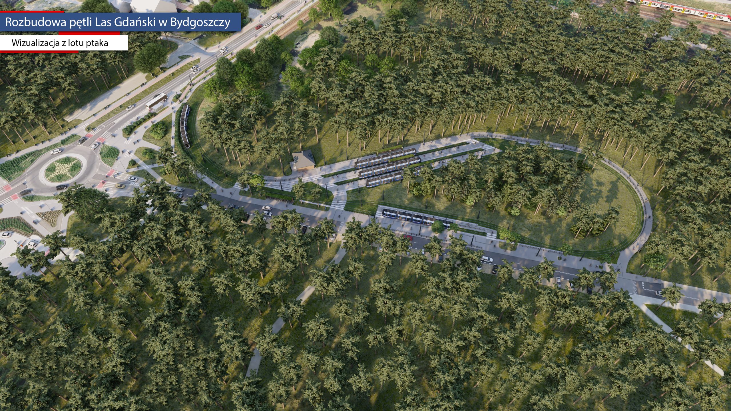 Las Gdanski Lot 2 V4_Materiały firmy Cone Amg