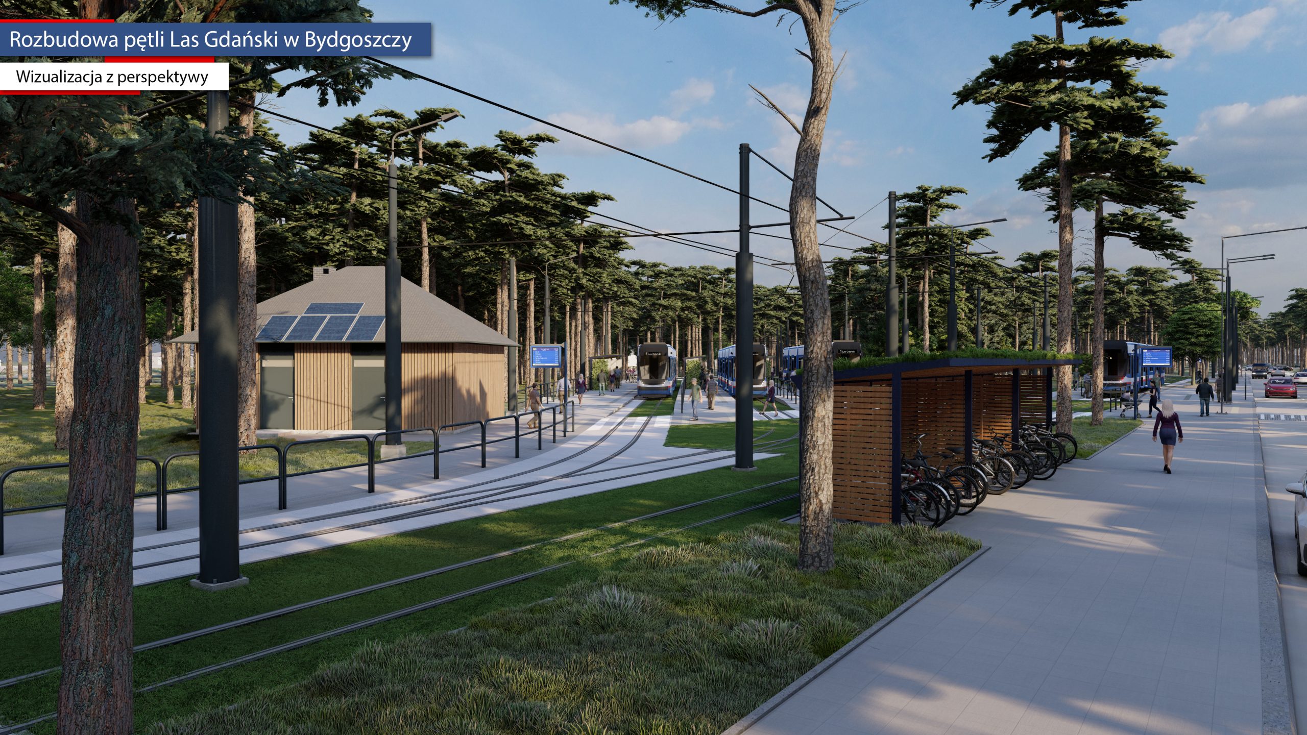 Las Gdanski czlowiek V4_Materiały firmy Cone Amg